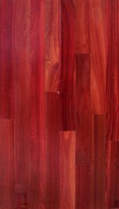 Bloodwood-1