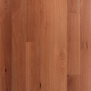 3 1/4 x 3/4 Sidney Blue Gum – Select and Better – Sq Edge