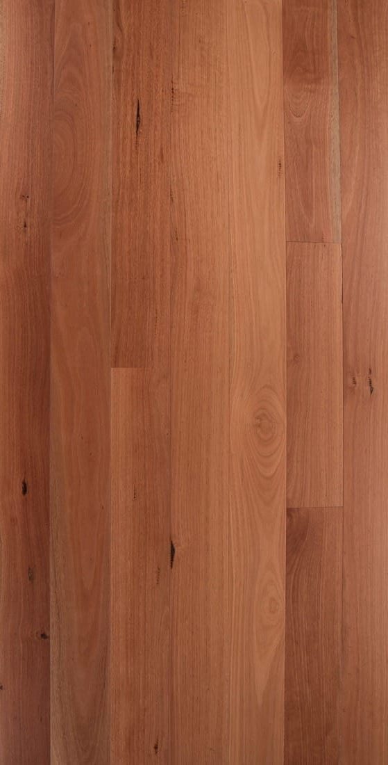 3 1/4 x 3/4 Sidney Blue Gum – Select and Better – Sq Edge